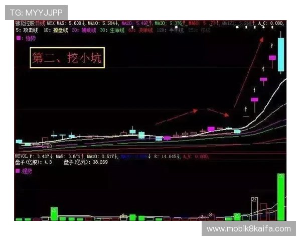 凯发血流成河：新手快速成长指南让你轻松迈入高手行列